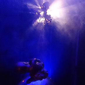 Performance de Chami&nbsp;López.